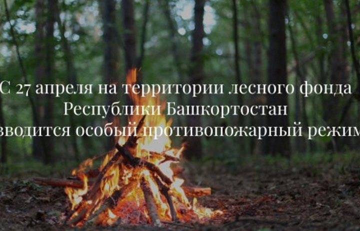 В лесах Башкирии 27 апреля вводится особый противопожарный режим