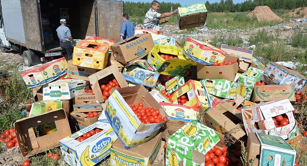 Российские парламентарии не поддержали идею раздать малоимущим санкционные продукты