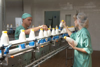 Россия ограничила ввоз белорусской молочной продукции 