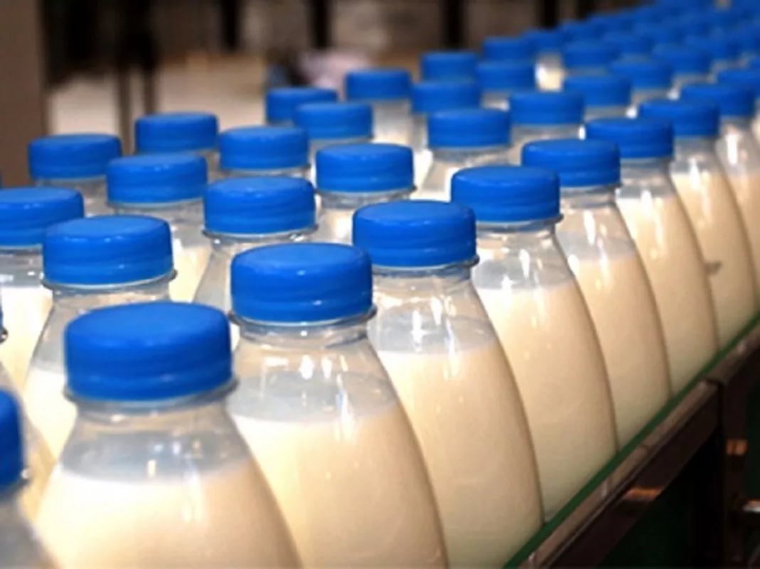 Треть молока на рынке Орловской области - фальсификат