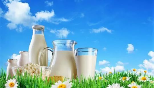 О рекомендациях Роспотребнадзора по выбору и хранению молочных продуктов в жаркую погоду