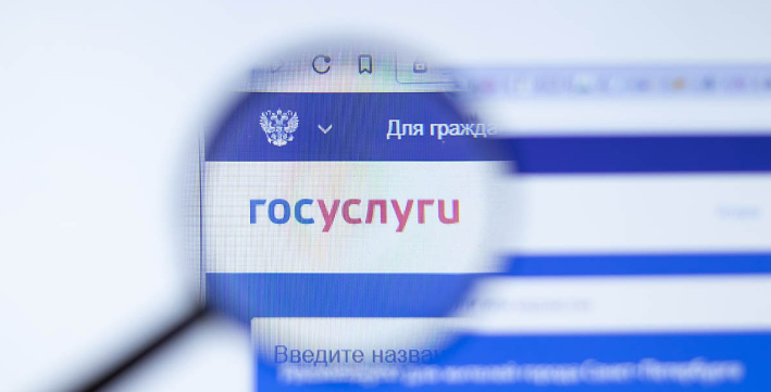 Россияне смогут пожаловаться на фишинговые сайты через госуслуги