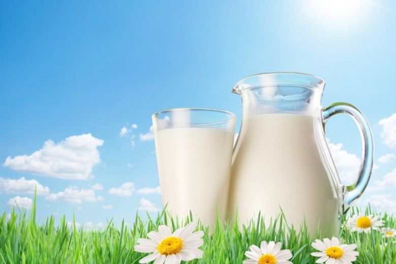 Почему молоко горчит и не киснет: 12 ответов на ваши вопросы