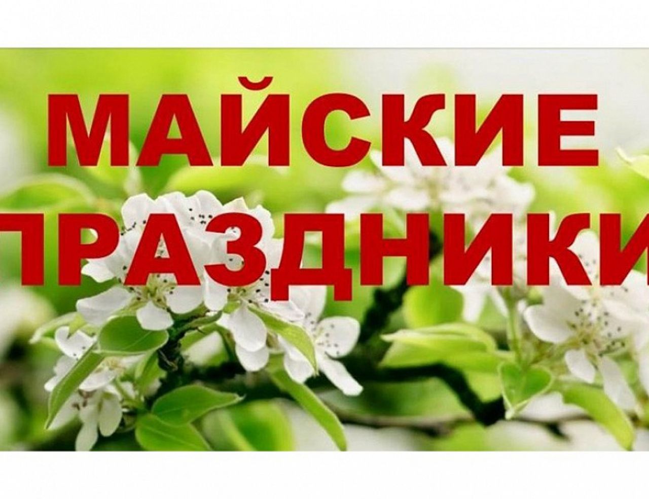 Майские выходные фото