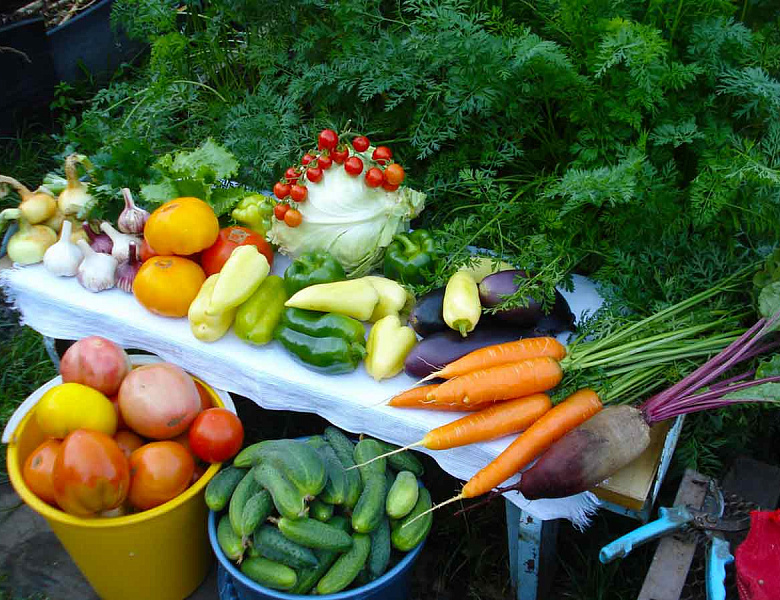 Агроном предупредил об опасности некоторых овощей с дачи