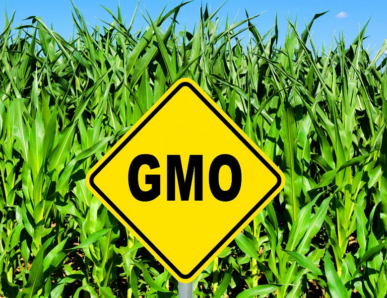 Продукты с ГМО промаркируют 