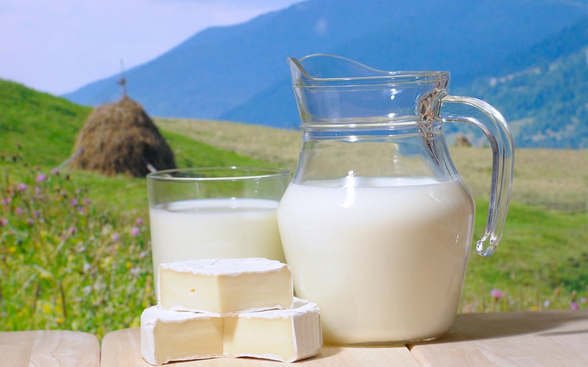 Молоко с растительным жиром запретили называть молоком 