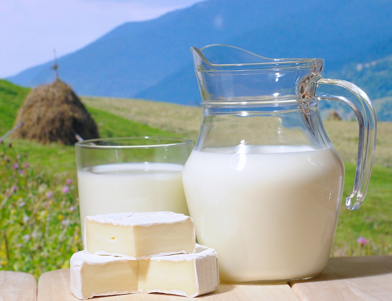 Молоко с растительным жиром запретили называть молоком 
