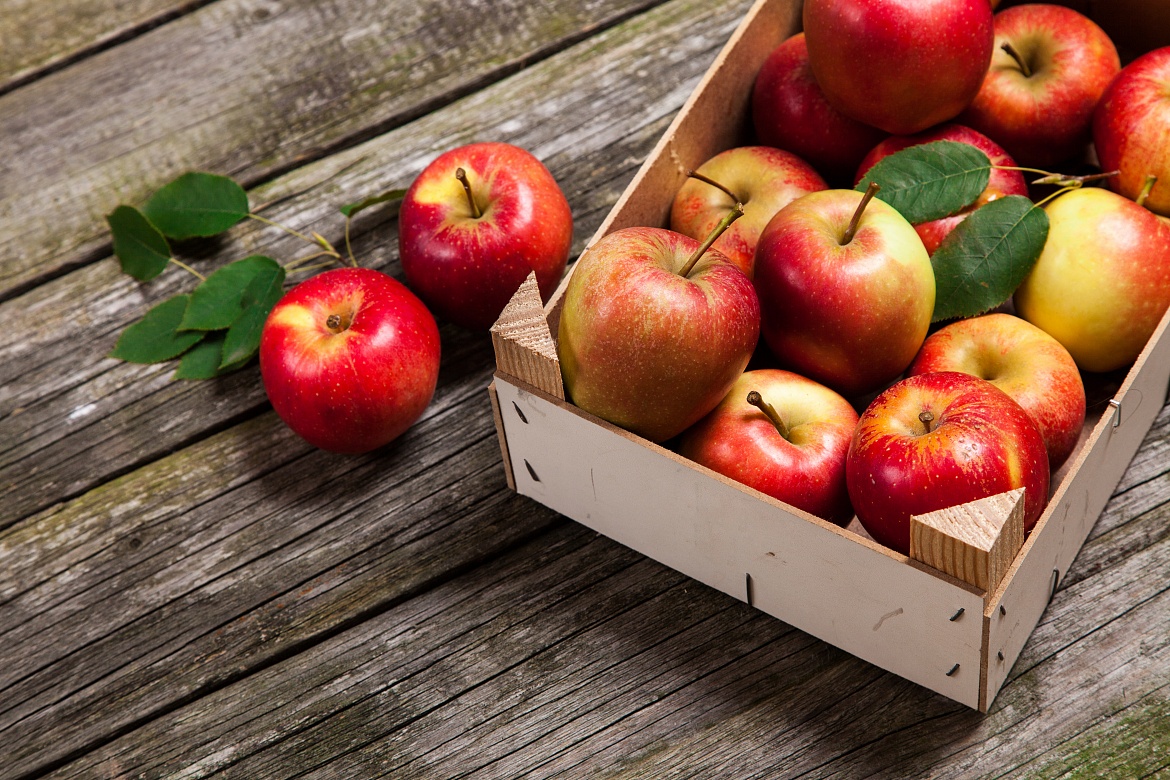 Эксперты сравнят магазинные и рыночные яблоки с дачными