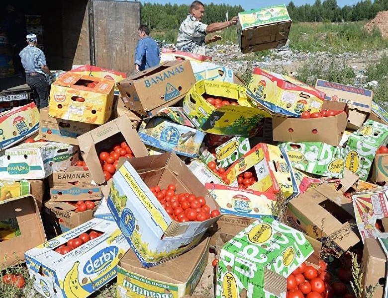 Российские парламентарии не поддержали идею раздать малоимущим санкционные продукты