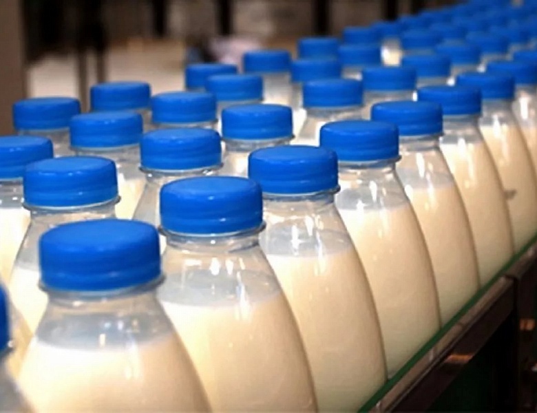 Треть молока на рынке Орловской области - фальсификат