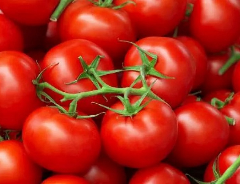 Турецкие помидоры прощены и готовы к возвращению на российский рынок