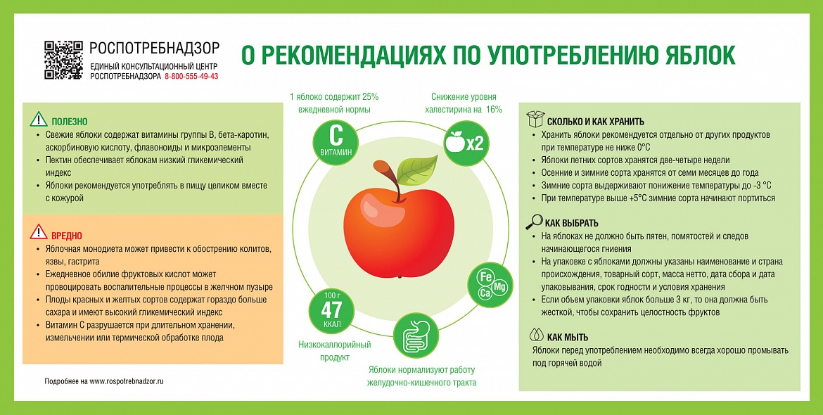 О рекомендациях по употреблению яблок