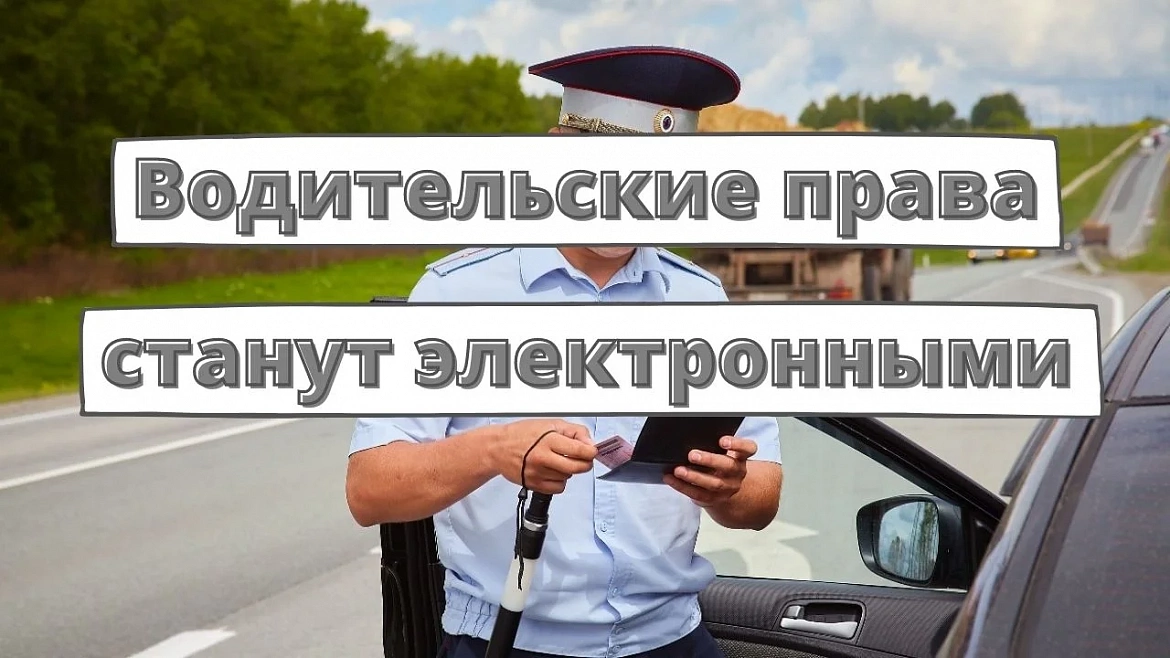 Когда в РФ водительские права станут электронными? Названы сроки