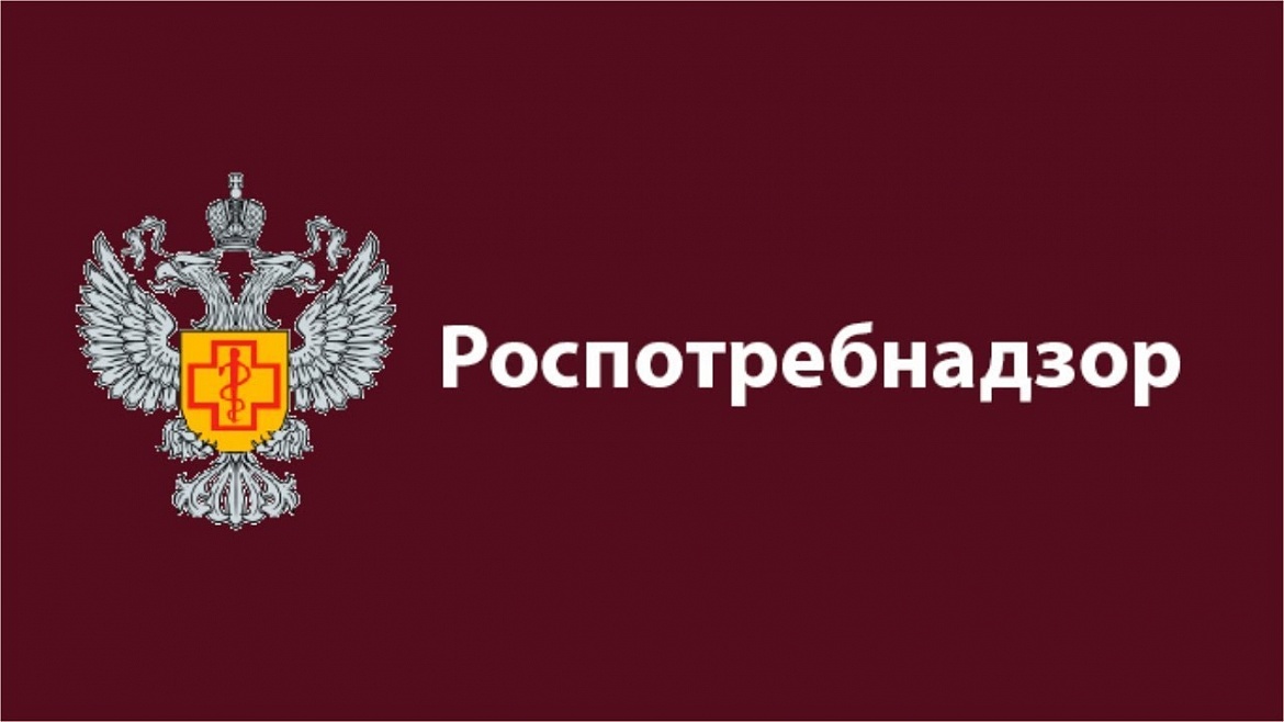 На Петербургском Международном Юридическом Форуме обсудили перспективы кодификации российского законодательства о защите прав потребителей
