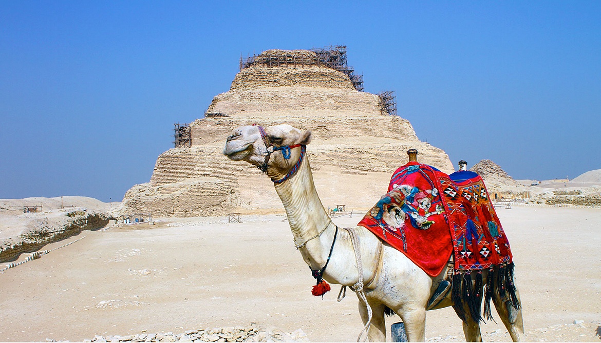  Красные курорты Когда возобновятся и сколько будут стоить туры в Египет