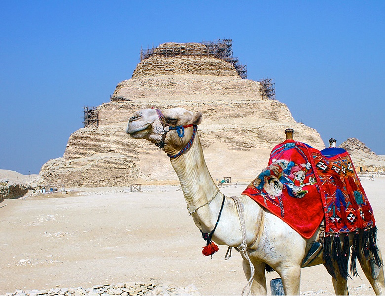  Красные курорты Когда возобновятся и сколько будут стоить туры в Египет