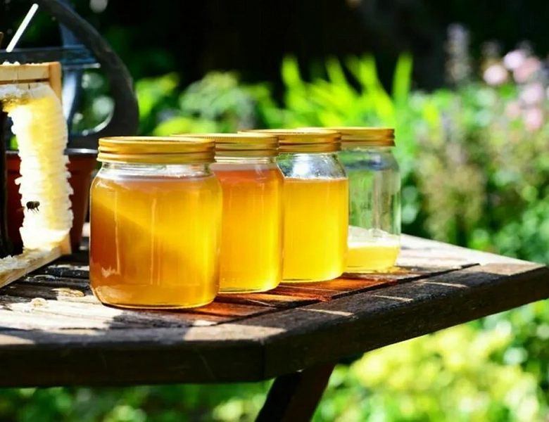 С 29 мая подделать алтайский мед станет сложнее