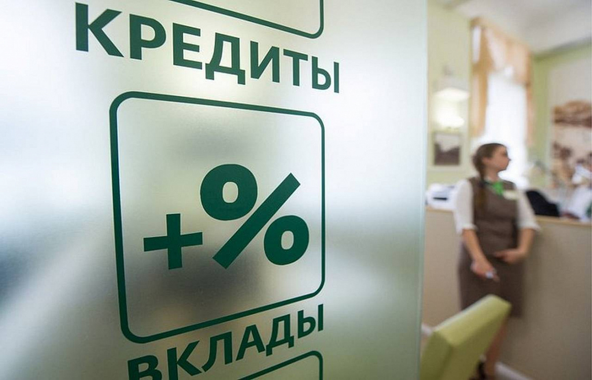 Депутаты Башкирии предложили ввести «период охлаждения» при выдаче кредитов